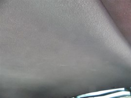 2006 Ford Mustang GT White 4.6L AT #F23395